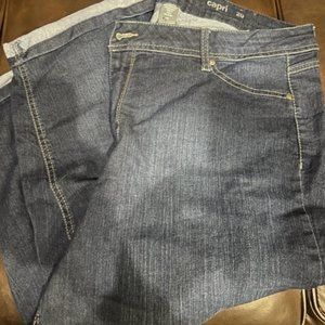 Avenue Denim Capri 20 Jeans